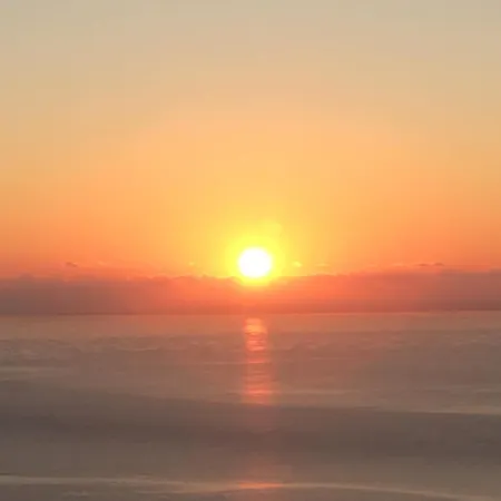 Xyloporta * Skinaria