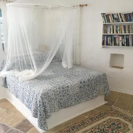 Xyloporta Apartment Skinaria