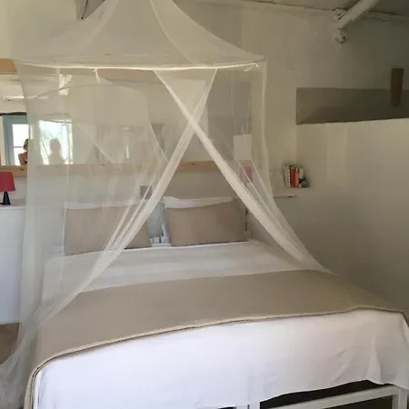 Xyloporta * Skinária