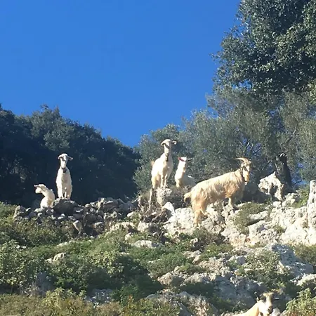 Appartamento Xyloporta