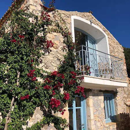 아파트 Xyloporta *