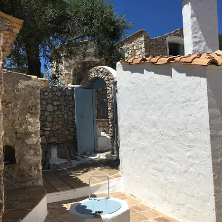 Xyloporta *